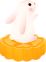 񡿵¥ӭѽڣĩԸŶ