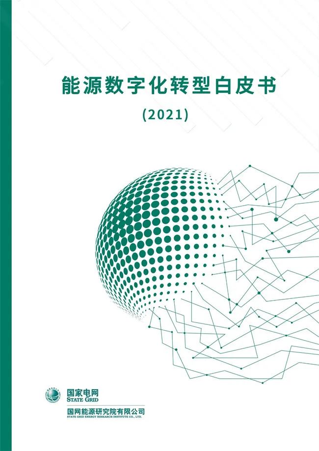 ԴоԺԴֻתͰƤ飨2021