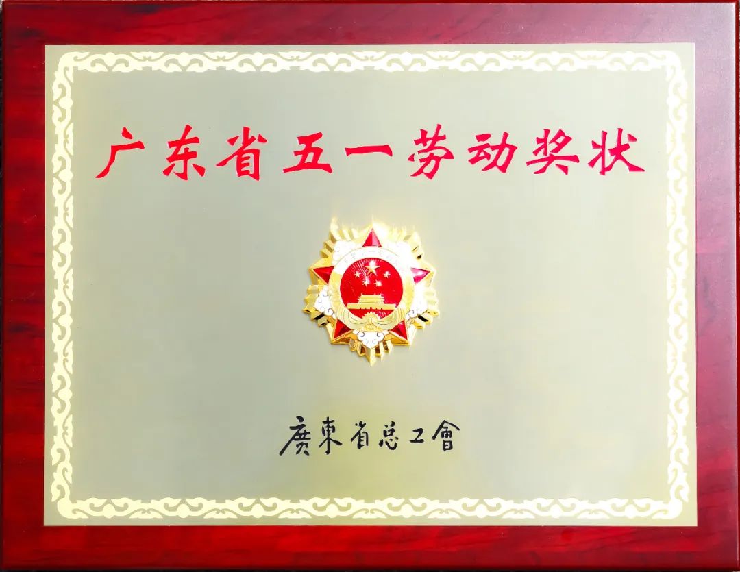 8886008ٻ񡰹㶫ʡһͶ״